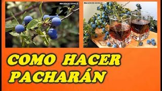 Como Hacer Pacharán CASERO  Todo Huerta y Jardín [upl. by Atnahs]