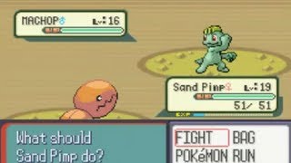 Pokemon Sapphire Part 17 To Petalburg City [upl. by Beverlee]