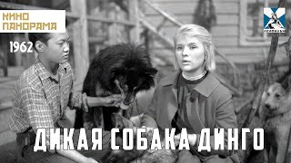 Дикая собака динго 1962 год драма [upl. by Sug904]