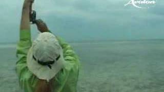 Fly fishing bonefish in cuba [upl. by Melonie]