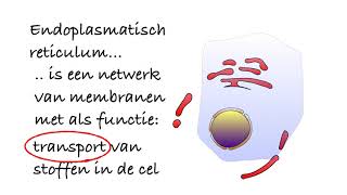 Uitleg Examen biologie HAVO Samengevat 2019 [upl. by Atiuqihc]