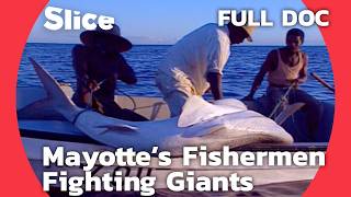 Fundi Shark Masters The Legendary Shark Fishermen of Mayotte  SLICE  FULL DOCUMENTARY [upl. by Eisnyl]