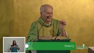 Homily  14th Sunday of Ordinary Time  7th July 2024 [upl. by Nelak]