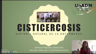 Cisticercosis Historia Natural de la Enfermedad [upl. by Necyla]