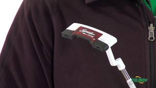 TaylorMade Spider Blade Putter Review [upl. by Moule]