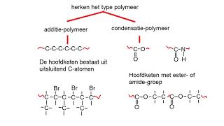 samenvatting havo polymeren [upl. by Ainala]