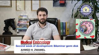 Medical Embryology  Second week of development  Bilaminar germ disc  علم الاجنة  الاسبوع الثاني [upl. by Hortensa929]