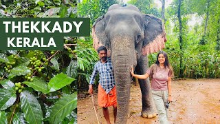 Thekkady Kerala  Things to do in Thekkady  Places to Visit Eat Stay  AZ Travel Guide [upl. by Neral]