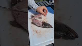 How to Fillet a Fish in 45 seconds shorts fish fishing bass summer lake pond [upl. by Cally278]