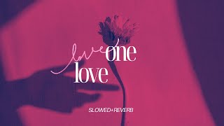 One Lover SlowedReverb love music song [upl. by Bound935]