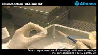 Emulsification CFA and IFA [upl. by Einniw926]