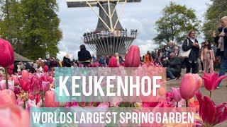 Keukenhof 2022 world’s largest spring gardenflowerstulipfyp 2022naturebeautifulgarden [upl. by Elyad631]