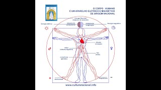 Cultura Racional Universo em Desencanto Leiam O Livro [upl. by Bran]