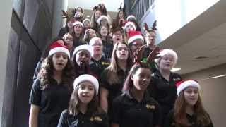 Twin Creeks Choir Sings Holiday Melodies [upl. by Amla154]