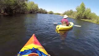 Lower Salt River Kayaking April 14 2024 [upl. by Einittirb770]