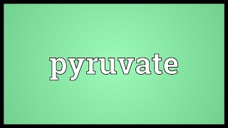 Pyruvate Meaning [upl. by Hendrik]