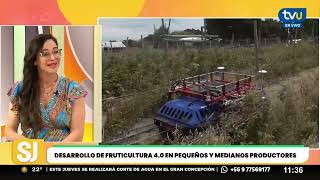 Agroceler promoviendo desarrollo de fruticultura en pequeños y medianos productores [upl. by Gujral]