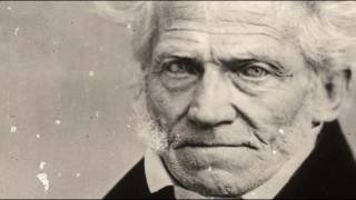 Le monde de Schopenhauer Livre III 34  Lart ou la revanche de la représentation [upl. by Loveridge]