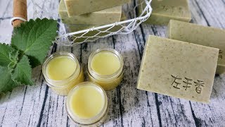 左手香皂amp左手香膏DIY  How to make herbal soap and ointment with Indian Borage [upl. by Deana]