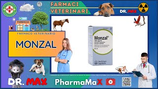 🐶 MONZAL Farmaco Veterinario a cosa serve   Foglietto Illustrativo 👔 Dr MAX [upl. by Oilegor]