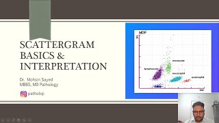 Scattergram Basics amp patterns in Leukemia leukemia bloodcancer cancer pathology hematology [upl. by Llyrad]