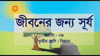 তৃতীয় শ্রেণীর প্রাথমিক বিজ্ঞান ৯ম অধ্যায় জীবনের জন্য সূর্য। Class 3 Biggan Chap9 [upl. by Ahsaetan25]