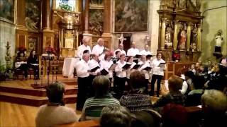 CAMPANITAS DE NAVIDAD  Coro de Espronceda Navarra  2015 [upl. by Wilscam]