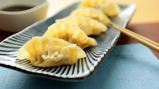 Rezept Gyoza japanische Teigtaschen selber machen [upl. by Ahsaekal972]