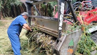 TRACK LOADER FLOSSES TEETH WITH BAMBOO trackloader skidsteer bamboo carbide teeth twisted [upl. by Ralyat]