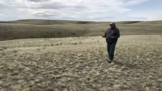 Water Witching with a split willow branch at Big Sky Bison Ranch [upl. by Hcir]