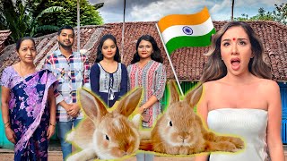 HOUSE RABBIT MAKEOVER INDIA 🇮🇳  quotDisabled Bunny Needs Helpquot  EPISODE 10 [upl. by Madelina]