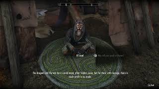 Skyrim Male Khajiit Voice replacer [upl. by Ruhnke132]