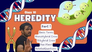 Class X Heredity Part 1 MonoDiHybrid Cross [upl. by Atirrehs]