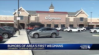 Is Wegmans coming to the Pittsburgh area [upl. by Seuqcaj852]