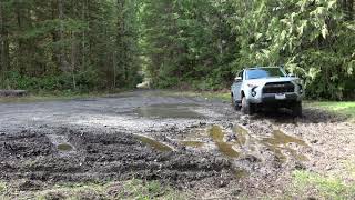 4runner TRD Pro mudding [upl. by Garrett530]