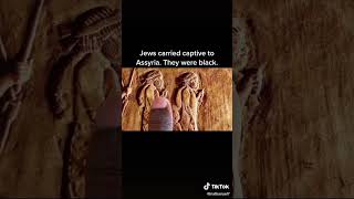 Jews captive by the Assyrians clearly black [upl. by Cheke]