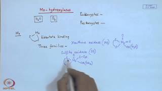 Mod22 Lec22 Molybdenum Enzymes  I [upl. by Eelram]