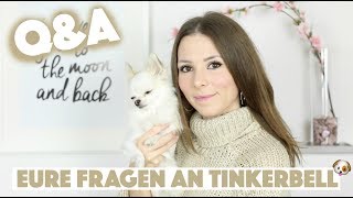 ANGST AN SILVESTER DER ERSTE SCHNEE amp SCHÖNSTES ERLEBNIS  ASK TINKERBELL 🐶 [upl. by Nosyarg]