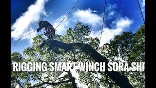 Smart Winch  Rigging  Cutting  pruning  Gopro  Arborist [upl. by Rauscher35]