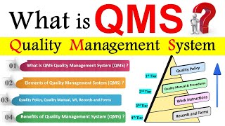 What is Quality Management System QMS  Elements of Quality Management System [upl. by Asenaj]