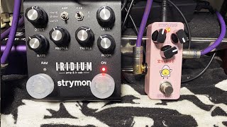 BGM Effects Bakery New Ginger Fuzz  Strymon Iridium まさかの岩下の新生姜コラボ [upl. by Rogerg]