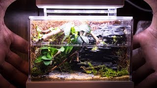 PART11  The most beautiful Aquascape Waterfall [upl. by Dita]