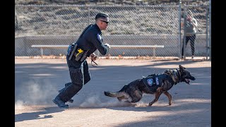 Cops N Kids 2019 Police  Sheriffs K9 Demonstration [upl. by Ellennaj4]