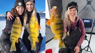 Ice Fishing the Largest Jumbo Perch of Our Lives  Cascade Part 2 [upl. by Eecak]