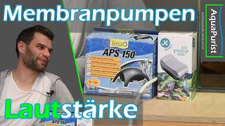 Welche ist die leiseste Membranpumpe  2 Luftpumpen im Vergleich [upl. by Yelyk396]