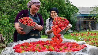 Mix of fresh strawberry compotes and delicious recipes from the village [upl. by Hniv740]