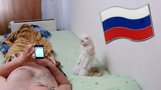 Cat Stands for Russian National Anthem [upl. by Oiratnom]