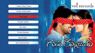 Gunde Jhallumandi  Telugu Movie Full Songs  Jukebox  Vel Records [upl. by Novek]