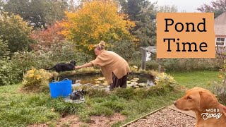 Autumn Pond Maintenance  Prepping The Pond For Winter 🍂 [upl. by Eimat]