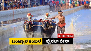 Bantwala Kambala Final Race 2024  ಬಂಟ್ವಾಳ ಕಂಬಳ ಫೈನಲ್ ರೇಸ್ 2024 [upl. by Sirromaj310]